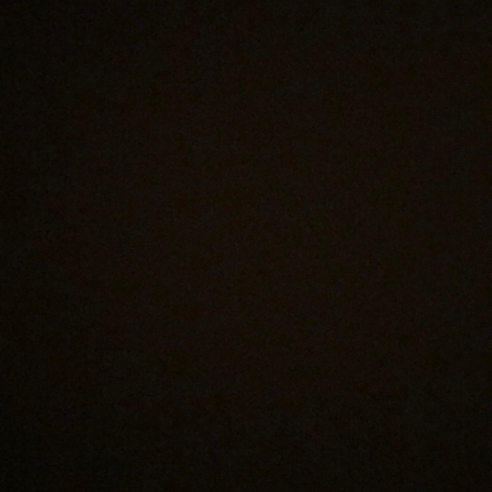 Meet your Posher, Sydni